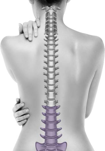 Lower Back | Lumbar & Sacrum Conditions