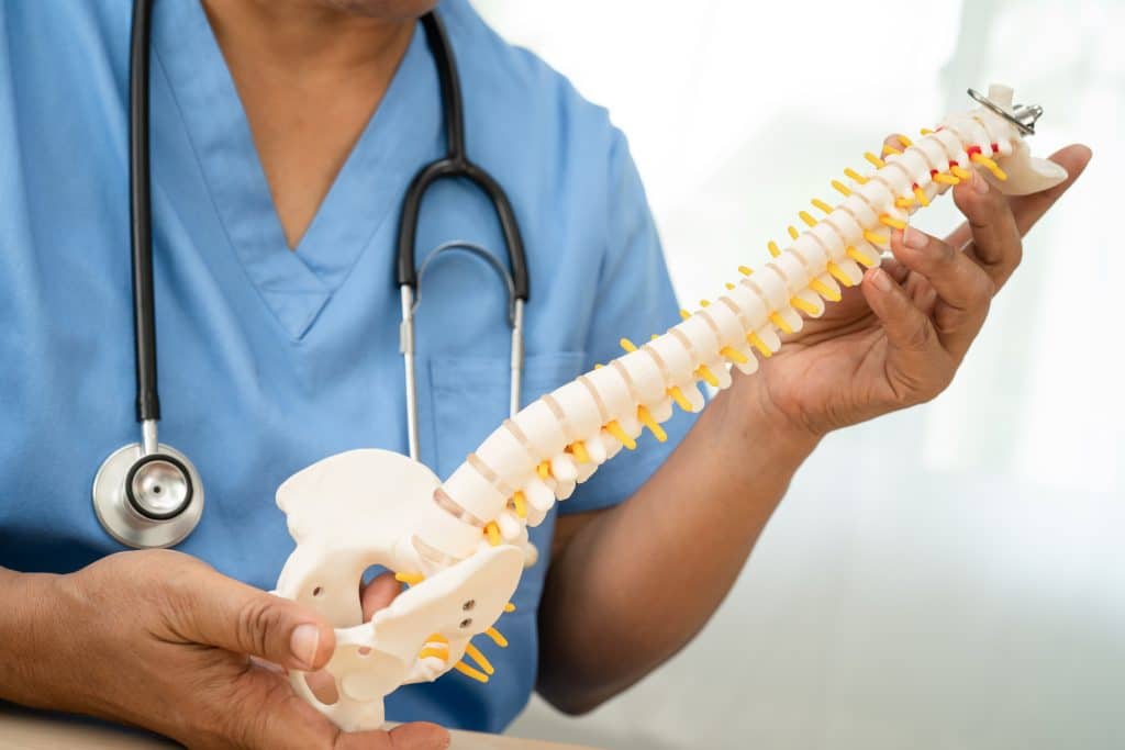 Physician holding model of spine to illustrate laminectomy procedure