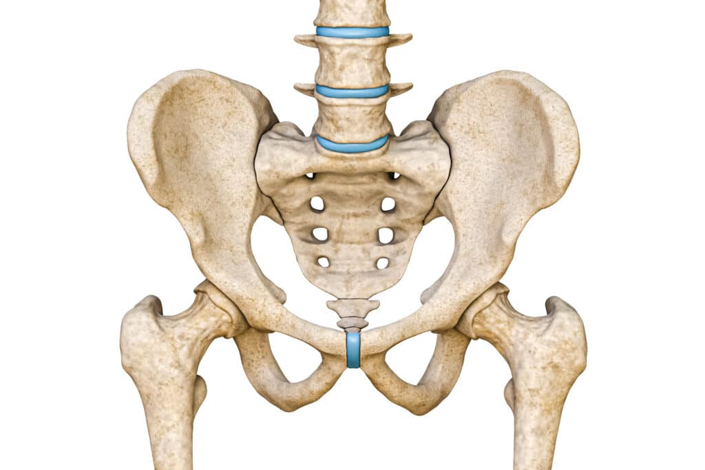 3D rendering of front view of human pelvis