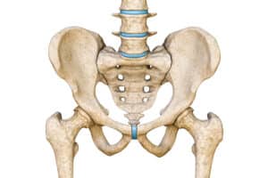 3D rendering of front view of human pelvis